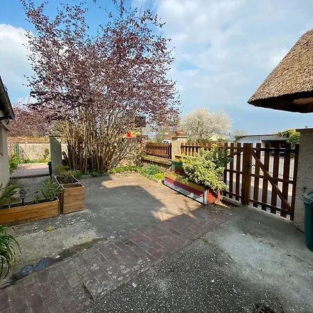 Le Jardin De Sasha Et La Noisette Apartament Équemauville