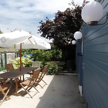 Le Jardin De Sasha Et La Noisette *