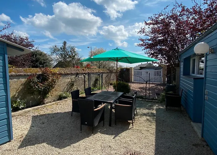 Le Jardin De Sasha Et La Noisette