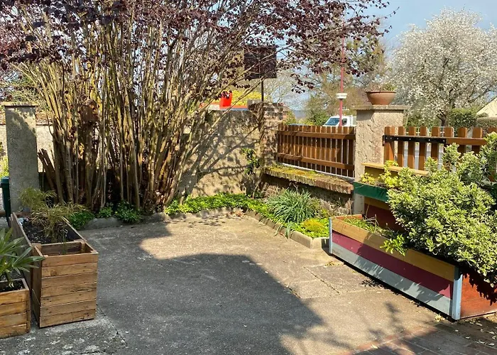 Le Jardin De Sasha Et La Noisette Equemauville