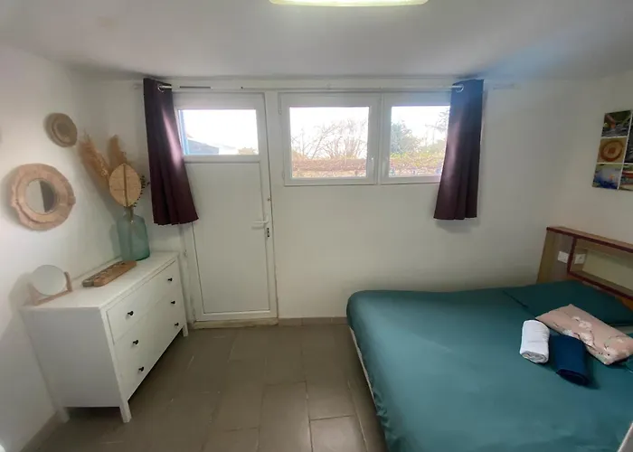 Le Jardin De Sasha Et La Noisette