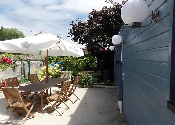 Le Jardin De Sasha Et La Noisette *